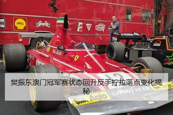 樊振东澳门冠军赛状态回升反手拧拉落点变化揭秘