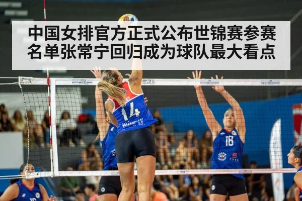 volleyball match action